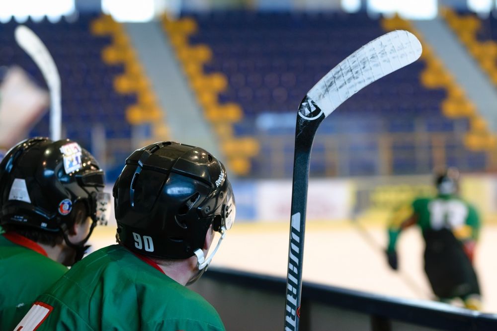 Borås Hockey: En Djupdykning i Historien och Variationerna